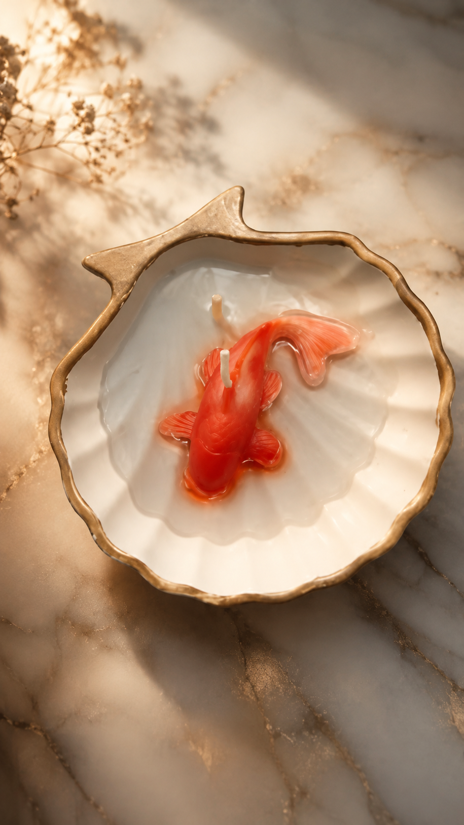 شمع ماهی و صدف