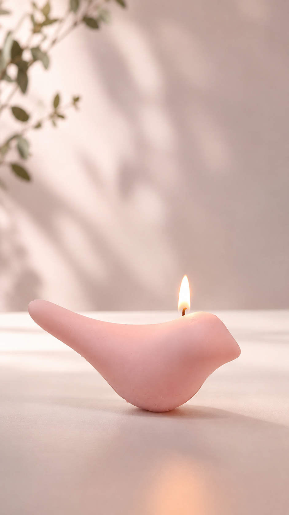 قالب مرغ آمین
